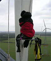 Access by industrial climbers